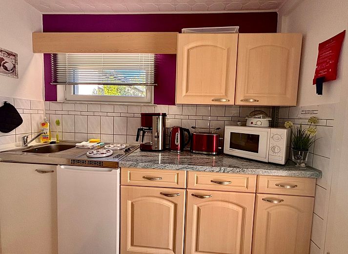 Guest house 0324402 - Holiday property Thuringia - Vakantiehuis Rennsteig-Residenz