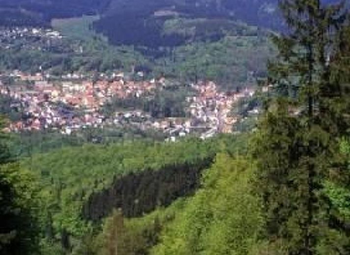 Guest house 0328312 - Apartment Thuringia - Appartement Gemütliche Ferienwohnung im Thüringer Wald