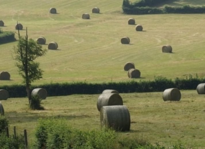 Geniet van de rust bij Vakantiehuisje in Espinasse, gelegen in het groene Auvergne, Frankrijk, met een prachtig uitzicht op de natuur.