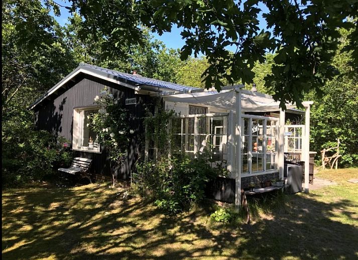 Guest house 040179 • Bungalow Ameland • Alba Rose 