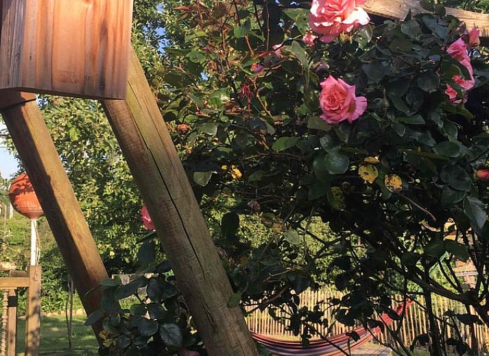 Verblijf 0412206 - Vakantiewoning Bretagne - Vakantiehuis in Plouhinec