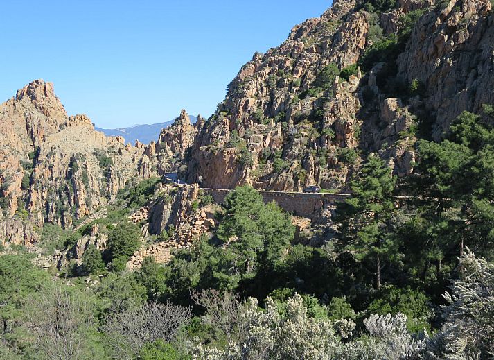 Verblijf 04316101 - Appartement Corsica - Appartement Fougère