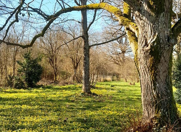 Verblijf 04517510 - Vakantiewoning Centre - Huisje in Lignac