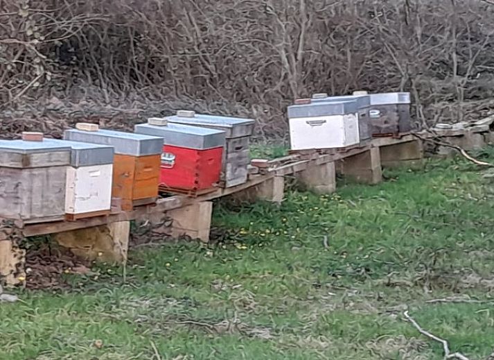 Verblijf 04517510 - Vakantiewoning Centre - Huisje in Lignac