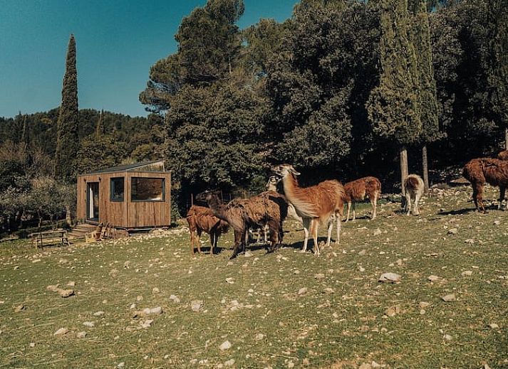 Huisje in Le Barroux in Provence biedt uitzicht op grazende lama's in de omliggende natuur vanuit de gezellige binnenruimte.