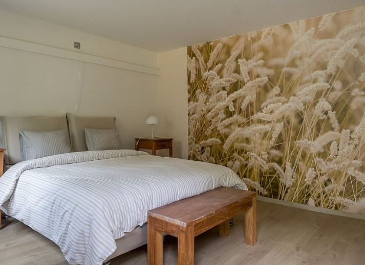 Guest house 048609 - Holiday property Antwerp - gouden-moment