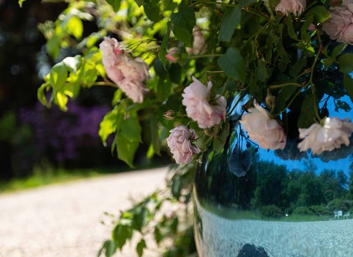 Unterkunft 0526602 - Ferienhaus Limburg - Vakantiehuis in Bilzen-Hoeselt