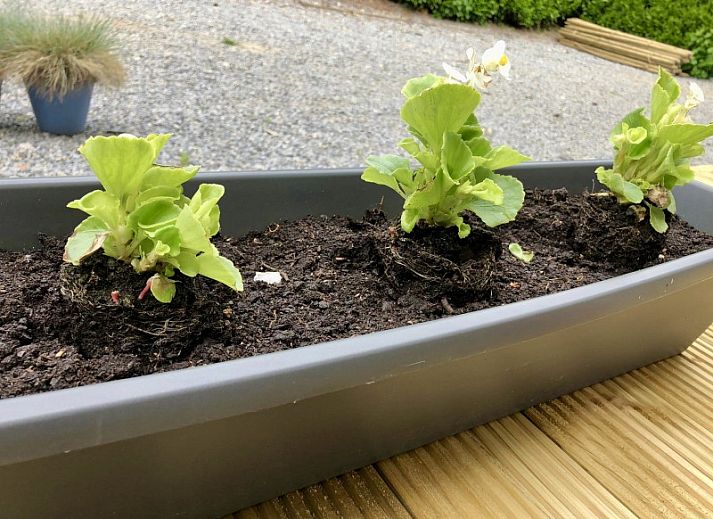 Zonnepanelen op het dak van Rochers de Sy vakantiehuis in Sy, Ardennen, Belgie.