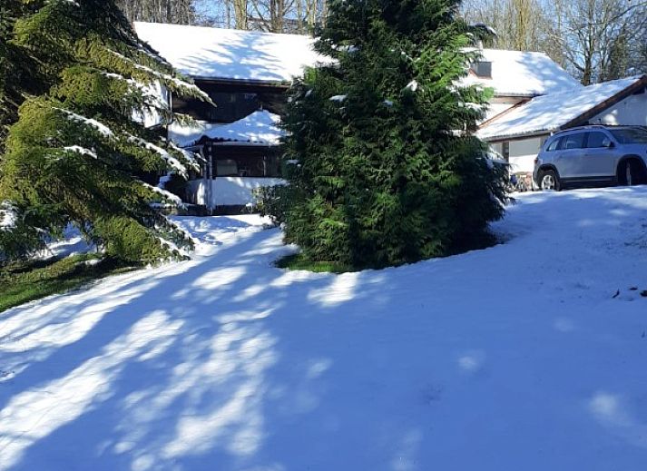 Guest house 0653901 - Holiday property Liege - L'Ecureuil Blanc