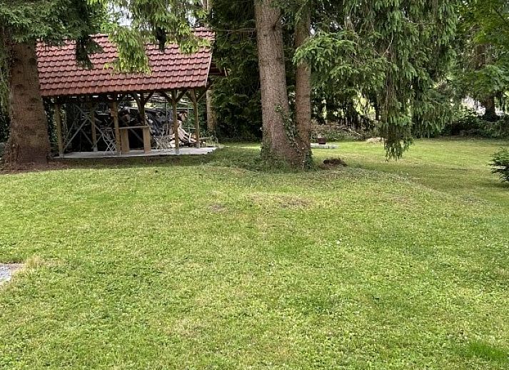 Guest house 0653901 - Holiday property Liege - L'Ecureuil Blanc
