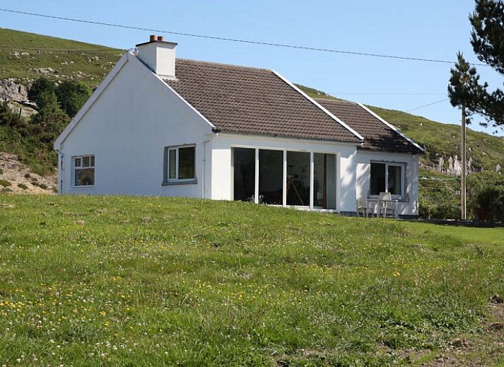 Zeehonden rustend in de natuur nabij Lya's vakantiehuis in Eyeries, Zuid-West-Ierland. Perfect voor natuurliefhebbers.