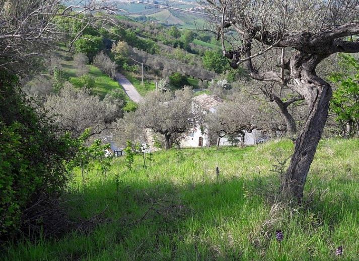 Ontspan bij het zwembad van vakantiehuis CASA LUNA in Picciano, Abruzzen, Italie, omgeven door serene natuur.
