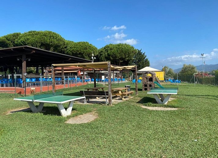 Campingchalet 328 in Ligurie biedt een charmant terras in de schaduw van bomen, ideaal voor een ontspannen vakantie in Cinque Terre.