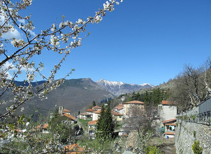 Guest house 09023401 - Holiday property Liguria - Vakantiehuis Carametto