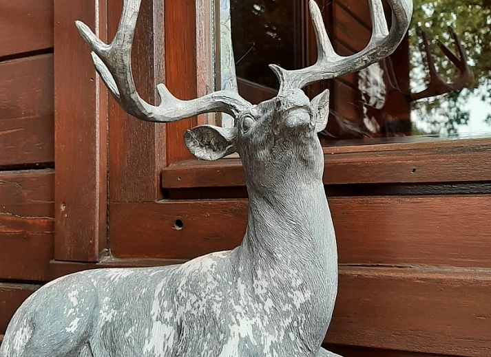 Tweede slaapkamer van Chalet 't Musje in Weris, Ardennen met comfortabele bedden.