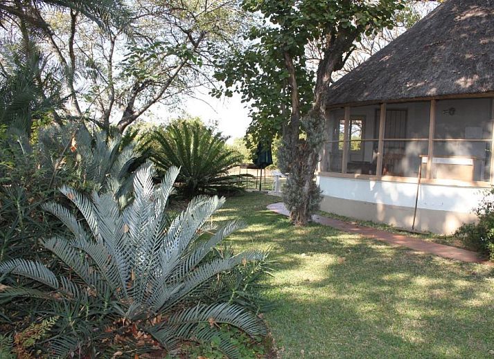 Guest house 0926846 • Holiday property Mpumalanga • Kiaat Bungalows 