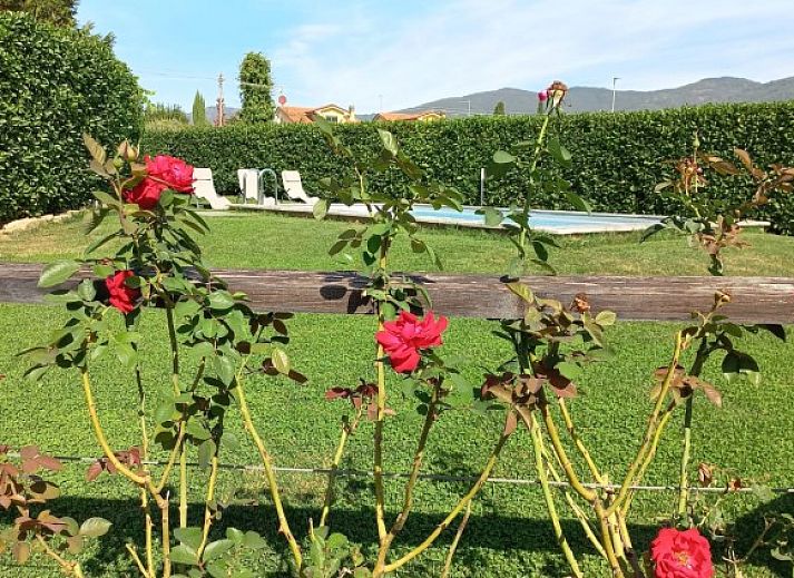 Verblijf 0950888 • Vakantiewoning Toscane / Elba • Casa Giglio 