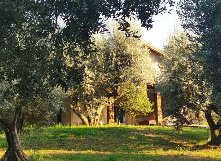 Ontspan in vakantiehuis Rosmarino in Castagneto Carducci, Toscane, omgeven door weelderige natuur en olijfbomen.
