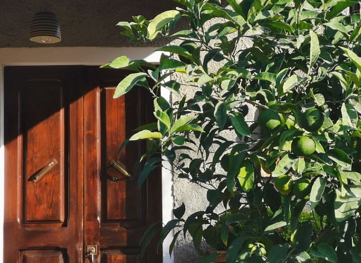 Ontspan in vakantiehuis Rosmarino in Castagneto Carducci, Toscane, omgeven door weelderige natuur en olijfbomen.