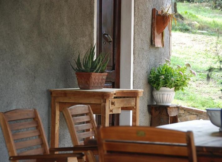 Ontspan in vakantiehuis Rosmarino in Castagneto Carducci, Toscane, omgeven door weelderige natuur en olijfbomen.