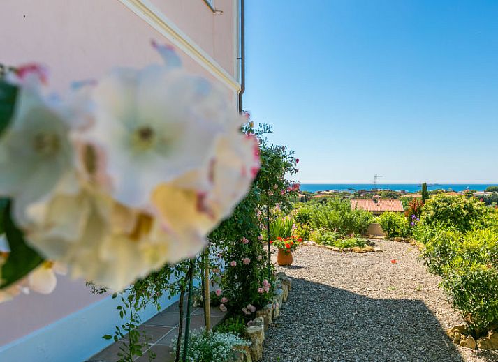Unterkunft 09548301 - Ferienhaus Toskana / Elba - Vakantiehuis delle Rose