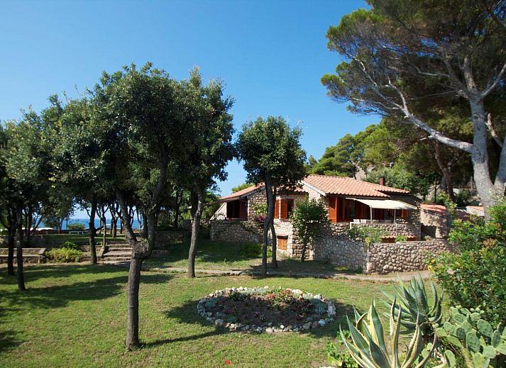 Guest house 09577601 • Holiday property Tuscany / Elba • Villa Isola 