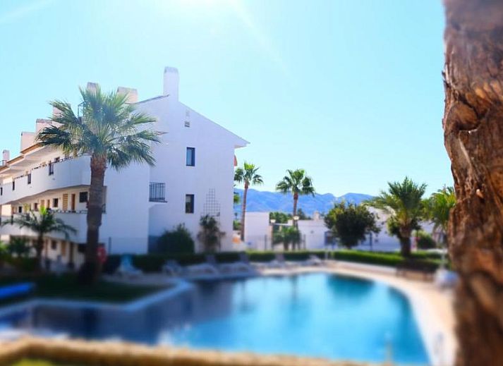 Guest house 1014903 • Apartment Costa Blanca • Alfaz del Sol 