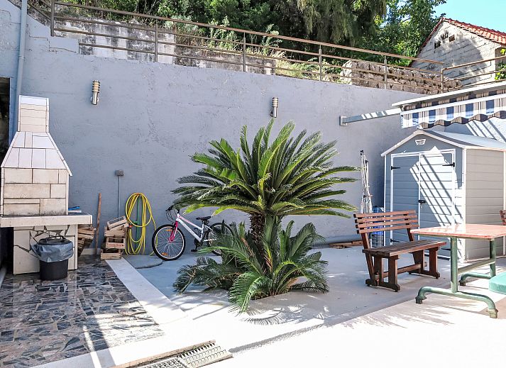 Verblijf 10317205 - Appartement Dalmatie - Appartement Jasmina