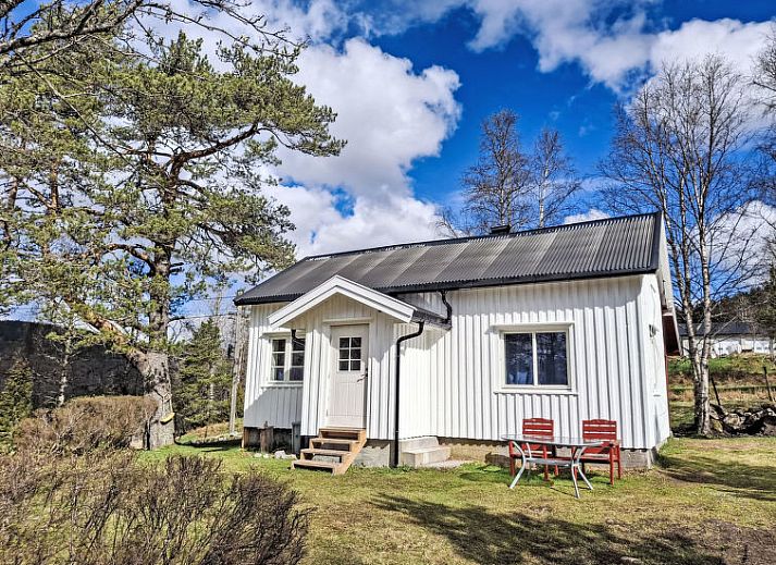 Verblijf 1060305 - Vakantiewoning Zuid Noorwegen - Vakantiehuis Flatebygd