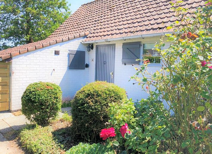 Guest house 112212 - Holiday property Belgian Coast - Duinhoek 70