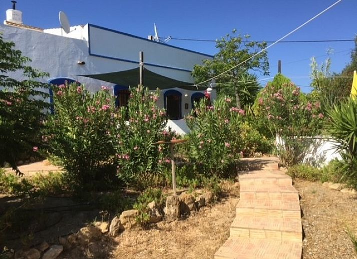 Geniet van de rust bij Casa Palmeira-Casa Geco, een vakantiehuis in Moncarapacho, Algarve, omgeven door weelderige natuur en zonnige paden.