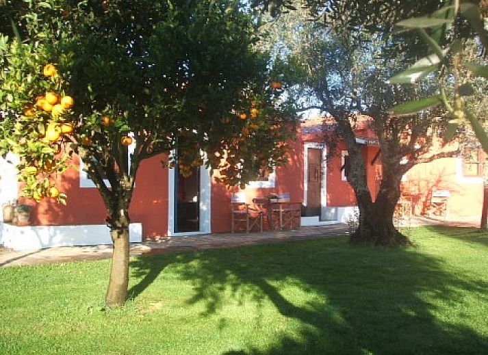 Verademar vakantiehuis in Cercal do Alentejo, Portugal met zonnig terras en groene tuin.