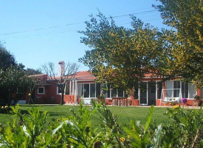 Sfeervolle slaapkamer in Verdemar vakantiehuis, Cercal do Alentejo, Portugal, met groene muren en comfortabele bedden.