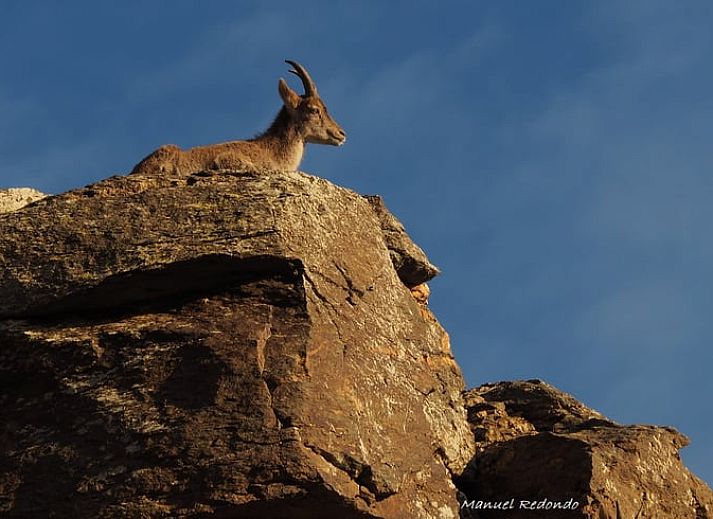 Gezellige woonkamer in Vakantiehuisje in La Taha, Pitres, Andalusie met comfortabele banken en rustieke details.