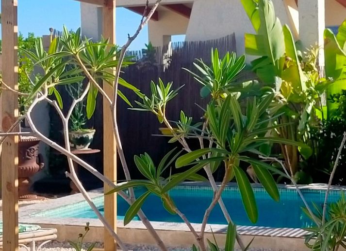Verblijf 14903805 • Appartement Costa Blanca • Casa fleur luxe appartemant altea