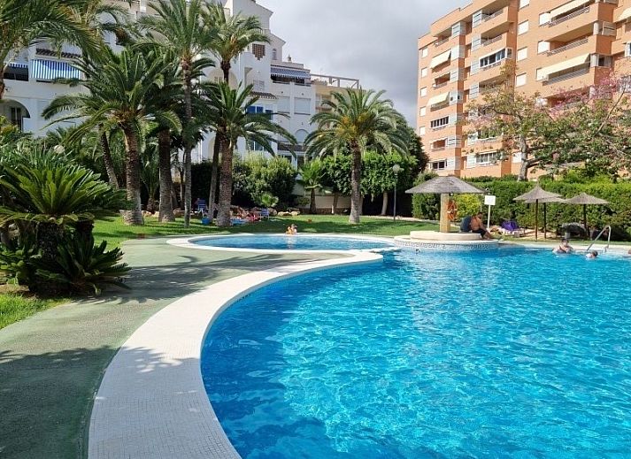 Guest house 14914114 • Apartment Costa Blanca • Benimar1
