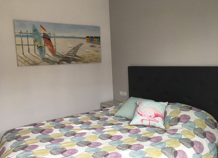 Unterkunft 14921602 - Appartement Costa blanca - Playa Elisa Bay