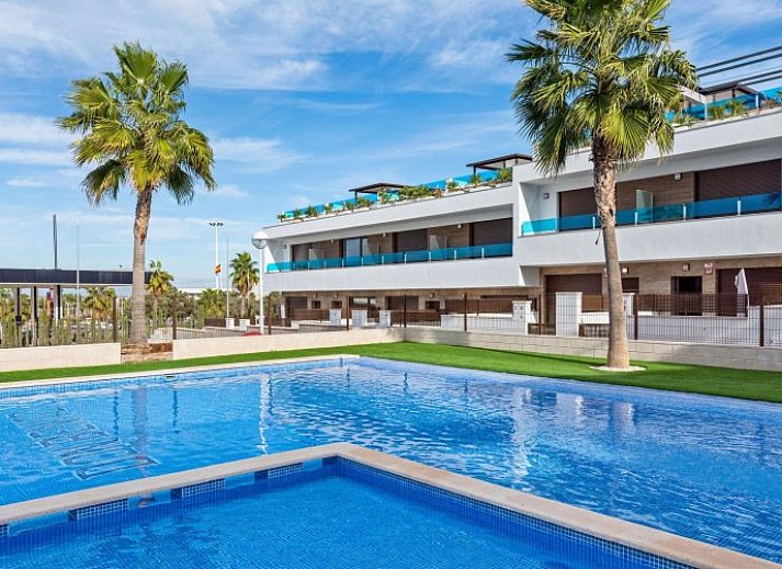 Ontspan bij het zwembad van vakantiehuis La Buena Vida in Torrevieja, Costa Blanca, Spanje, met uitzicht op palmbomen en blauwe luchten.