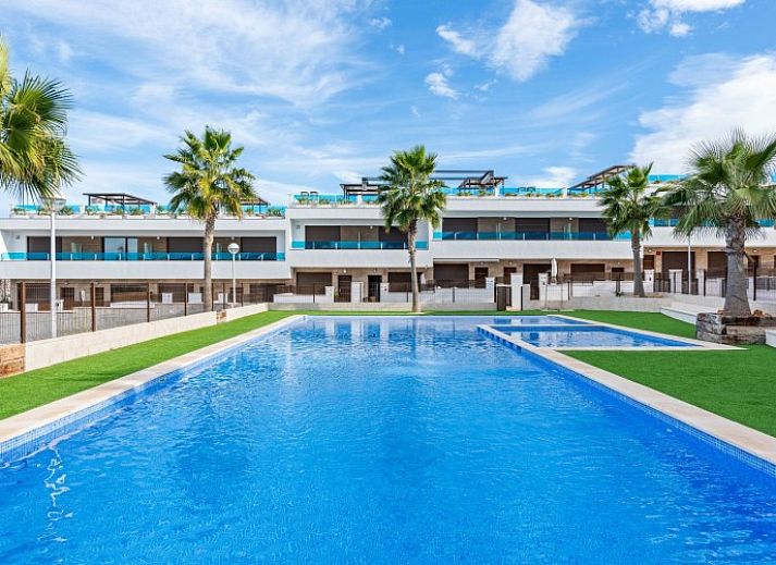 Ontspan bij het zwembad van vakantiehuis La Buena Vida in Torrevieja, Costa Blanca, Spanje, met uitzicht op palmbomen en blauwe luchten.