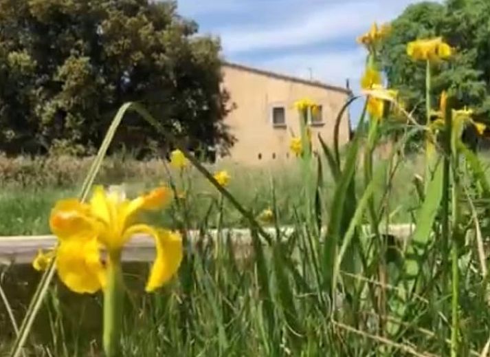 Vakantiehuisje in Navata, Costa Brava, omgeven door bloemen en groen voor een ontspannen verblijf in Spanje.