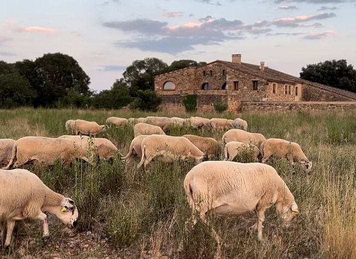 Authentieke slaapkamer in Vakantiehuisje in Navata, Costa Brava, Spanje met rustieke wastafel en rode bedsprei.
