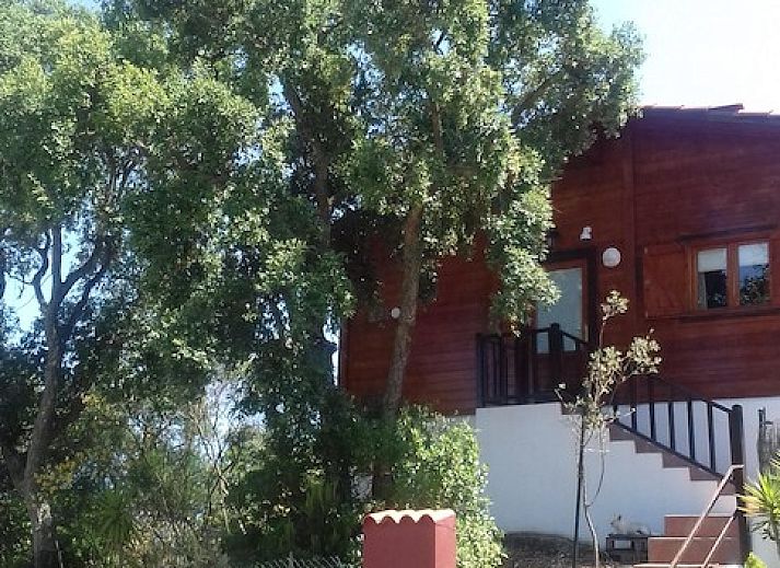 Gezellig terras van vakantiehuis Casa Carpe Diem in Lloret de Mar, Costa Brava, omringd door natuur.