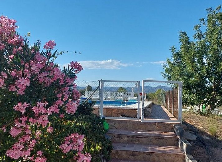 Ontspan in een hangmat bij Finca Kim, een vakantiehuis in Lliria, Valencia, omgeven door de serene natuur van Costa del Azahar.