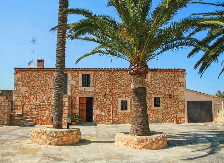 Guest house 16024201 • Holiday property Mallorca • Albadallet 