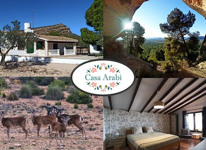 Verblijf 1615538 • Vakantiewoning Murcia • Vakantiehuis in Yecla