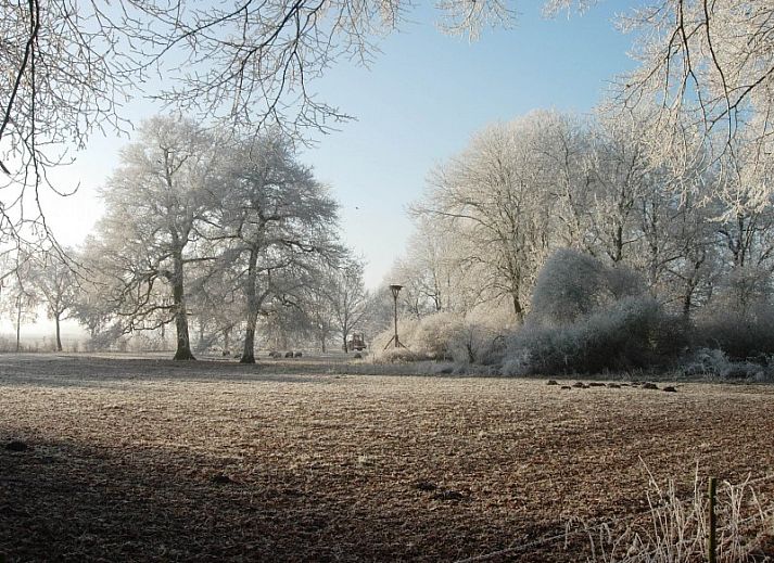 Guest house 171102 - Holiday property Midden Drenthe - de Veenhof