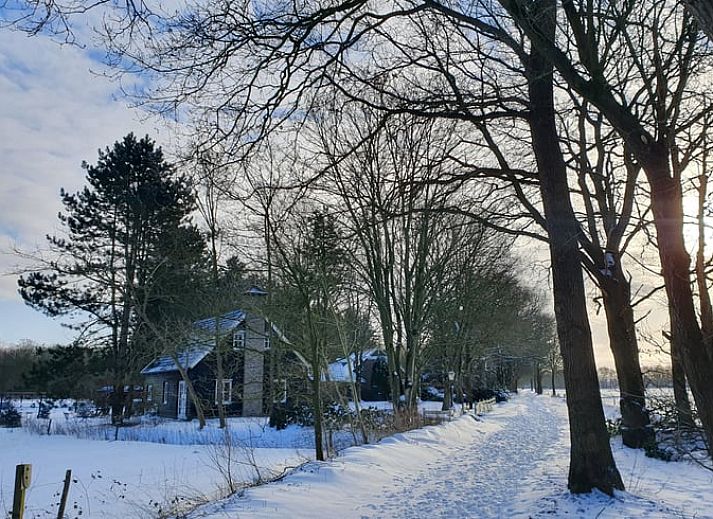 Guest house 173803 - Holiday property Midden Drenthe - Vakantiehuis in Geeuwenbrug