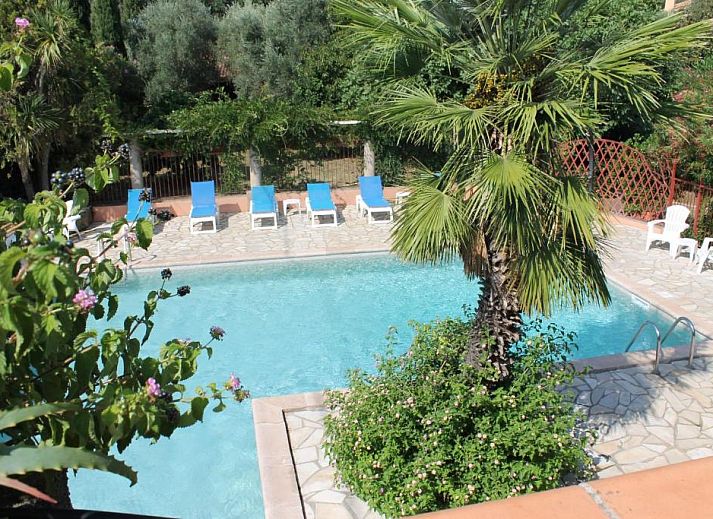Verblijf 17404301 - Bed and breakfast Corsica - Chambres d'h么tes Le Clos des Oliviers