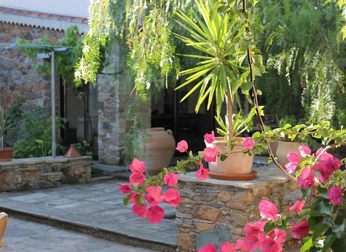 Verblijf 17404301 - Bed and breakfast Corsica - Chambres d'h么tes Le Clos des Oliviers