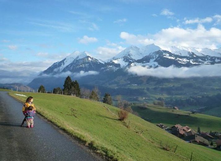 Unterkunft 1807001 - Appartement Berner Oberland - Appartement Ferienhaus Niesen View